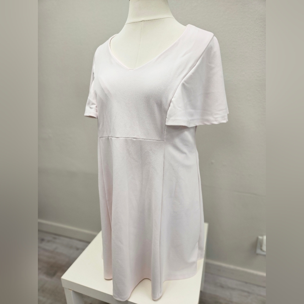 LIZ CLAIBORNE Flutter Dress Size 18W pale pink